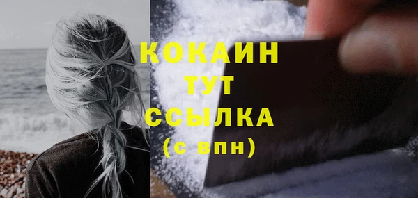 мяу мяу кристалл Няндома