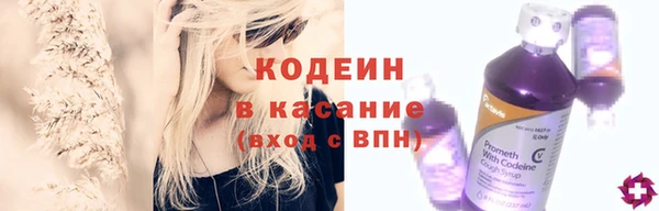 шишки Нягань