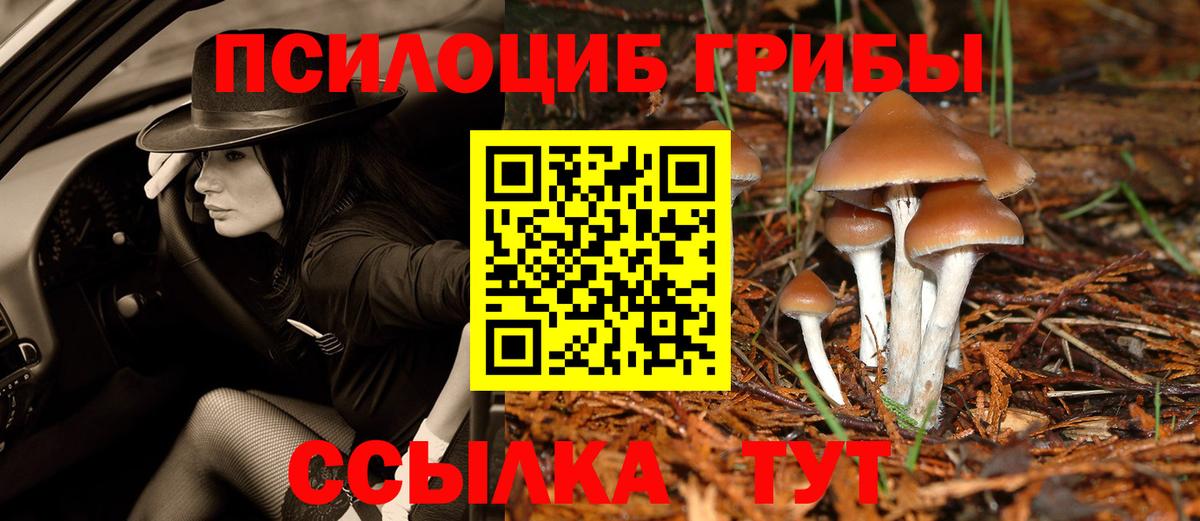 Псилоцибиновые грибы GOLDEN TEACHER  Вход с VPN  Торжок 